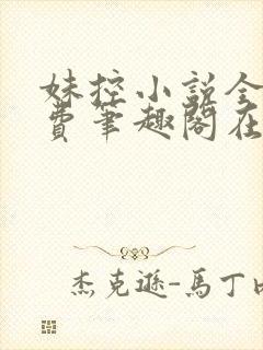 妹控小说全文免费笔趣阁在线阅读