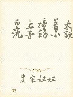 皇上撞着太子妃沈音的小说叫什么
