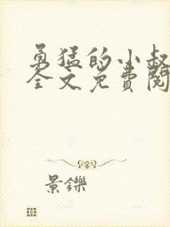 勇猛的小叔小说全文免费阅读
