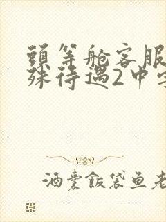 头等舱客服的特殊待遇2中字