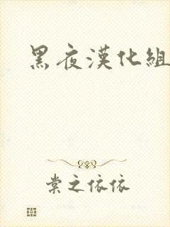 黑夜汉化组
