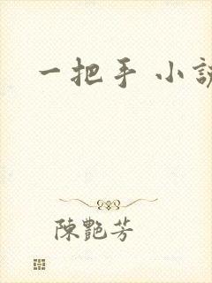 一把手 小说