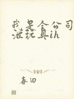 我是全公司的发泄玩具ih