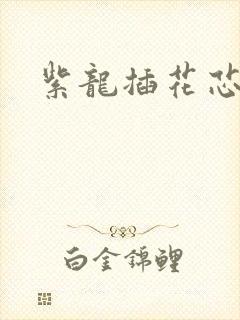 紫龙插花芯