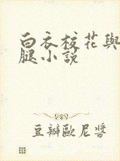 白衣校花与大长腿小说