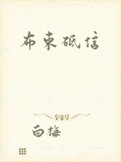 布束砥信封面