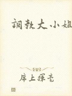 调教大小姐