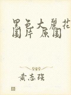 黑色大丽花真实图片 原图封面