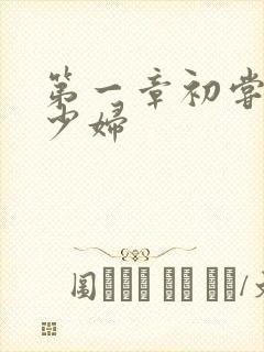 第一章初尝极品少妇