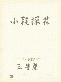 小段探花