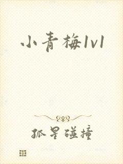 小青梅1v1