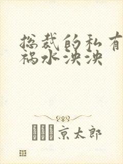 总裁的私有宝贝祸水泱泱