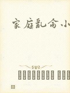 家庭乱仑小说封面