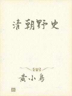清朝野史封面