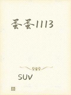 蛋蛋1113
