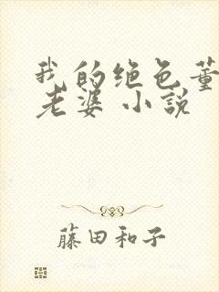 我的绝色董事长老婆 小说