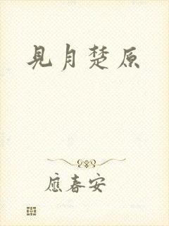 见月楚原封面
