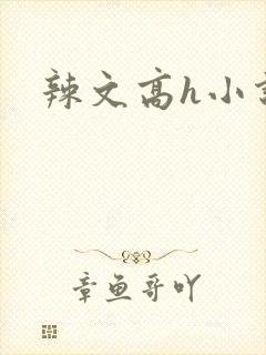 辣文高h小说