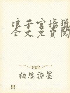浪子官场猎艳记全文免费阅读