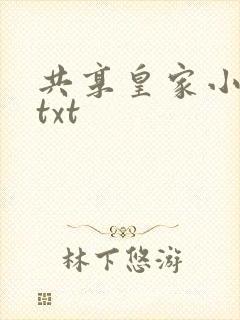 共享皇家小公主txt