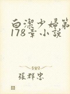 白洁少妇第1一178章小说封面