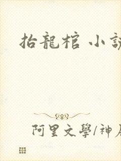 抬龙棺 小说
