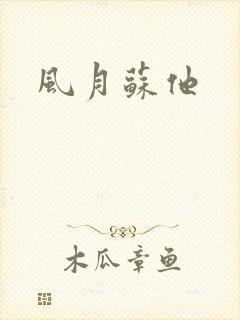 风月苏他