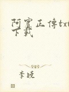 阿宾正传txt下载封面