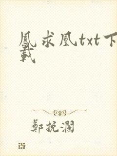 凤求凰txt下载