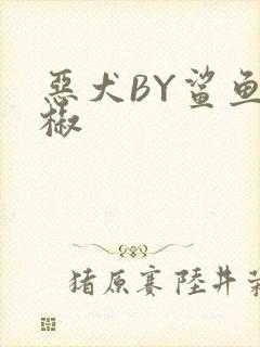 恶犬BY鲨鱼辣椒