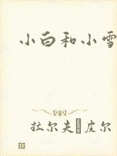 小白和小雪