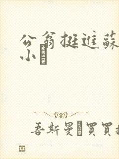 公翁挺进苏玥的小泬