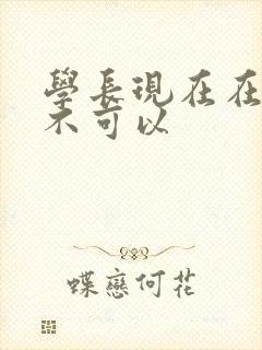 学长现在在上课不可以