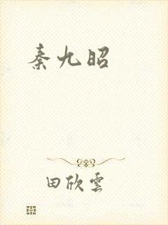 秦九昭封面