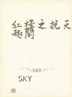 红楼之挽天倾笔趣阁