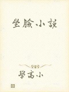 坐脸小说