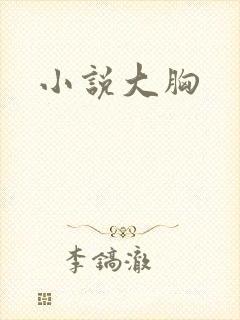 小说大胸封面