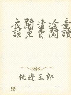 夜阑清冷意欢小说免费阅读封面