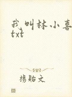 我叫林小喜小说txt