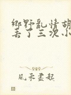 乡野乱情胡秀英丢了三次小说封面
