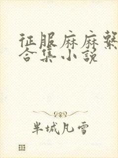 征服麻麻系列大合集小说