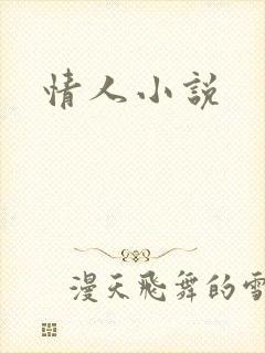 情人小说