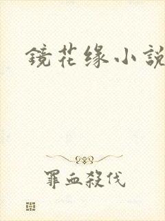 镜花缘小说封面