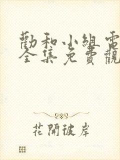 劝和小组电视剧全集免费观看
