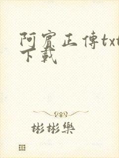 阿宾正传txt下载