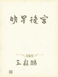 明星后宫