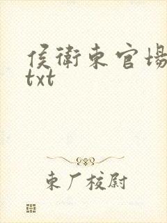 侯卫东官场笔记txt