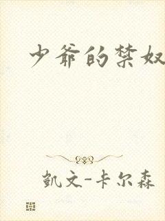 少爷的禁奴