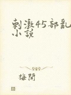 刺激45部乱亲小说封面