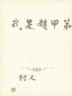 我是赵甲第小说